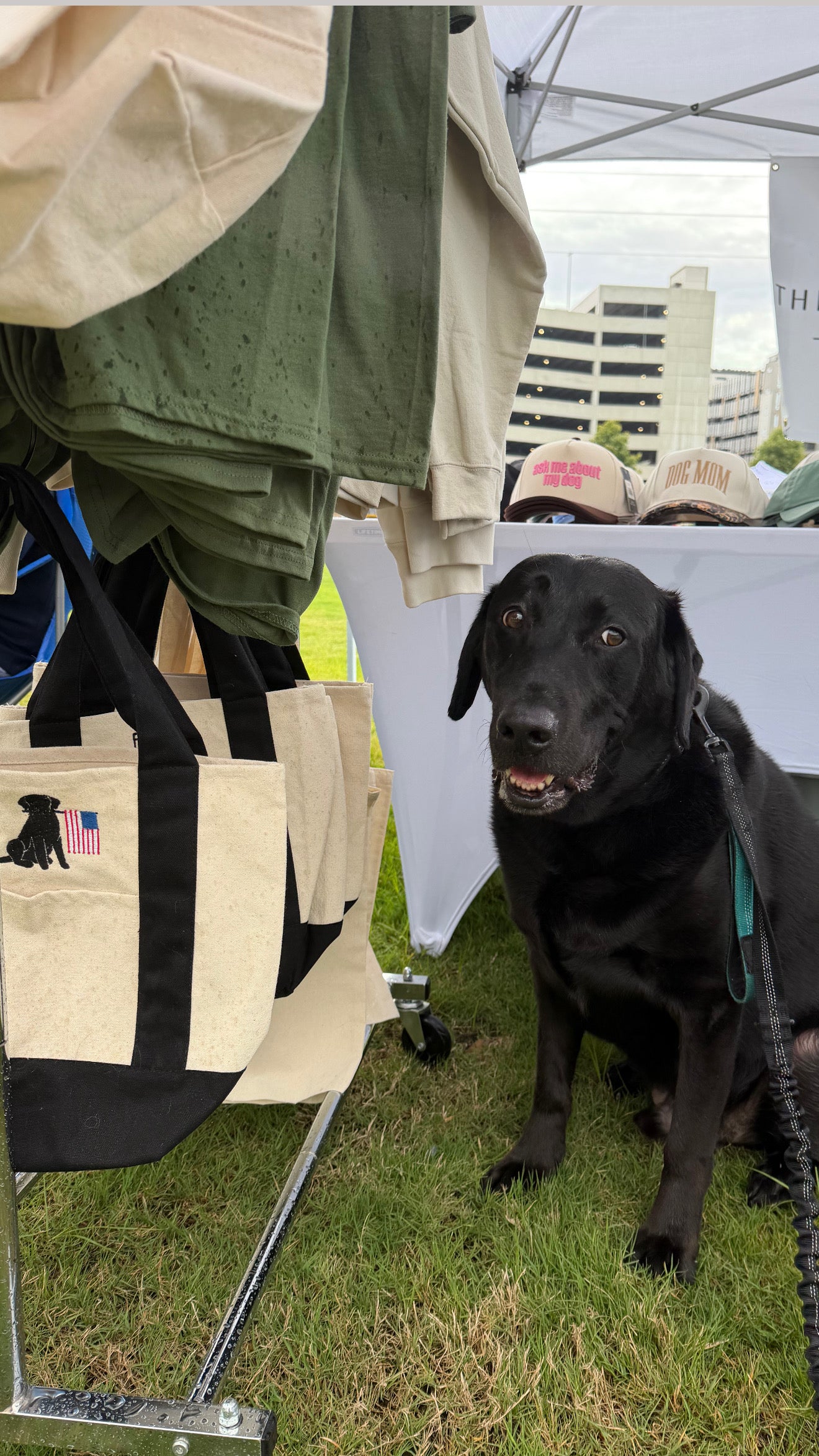 Small personalized boat tote