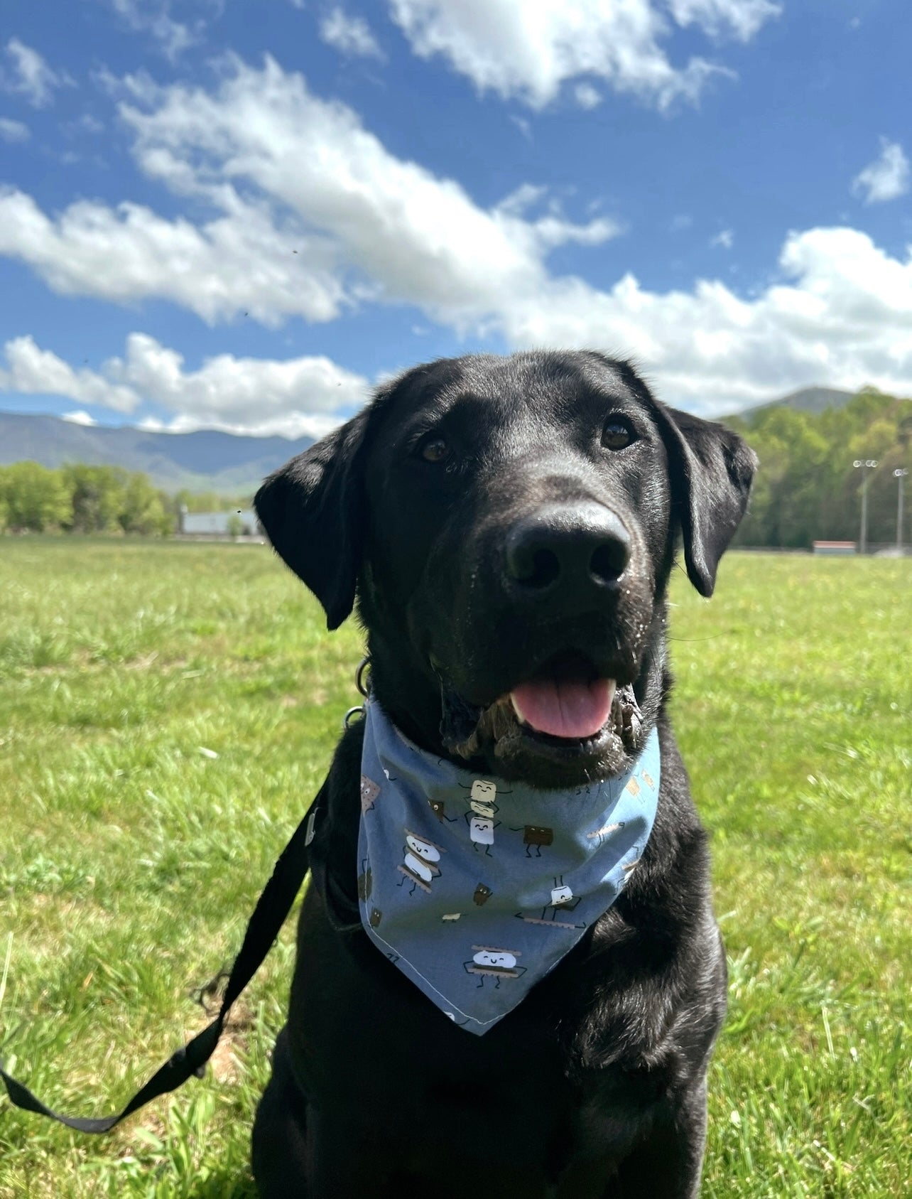 Dancing S’more’s Bandana