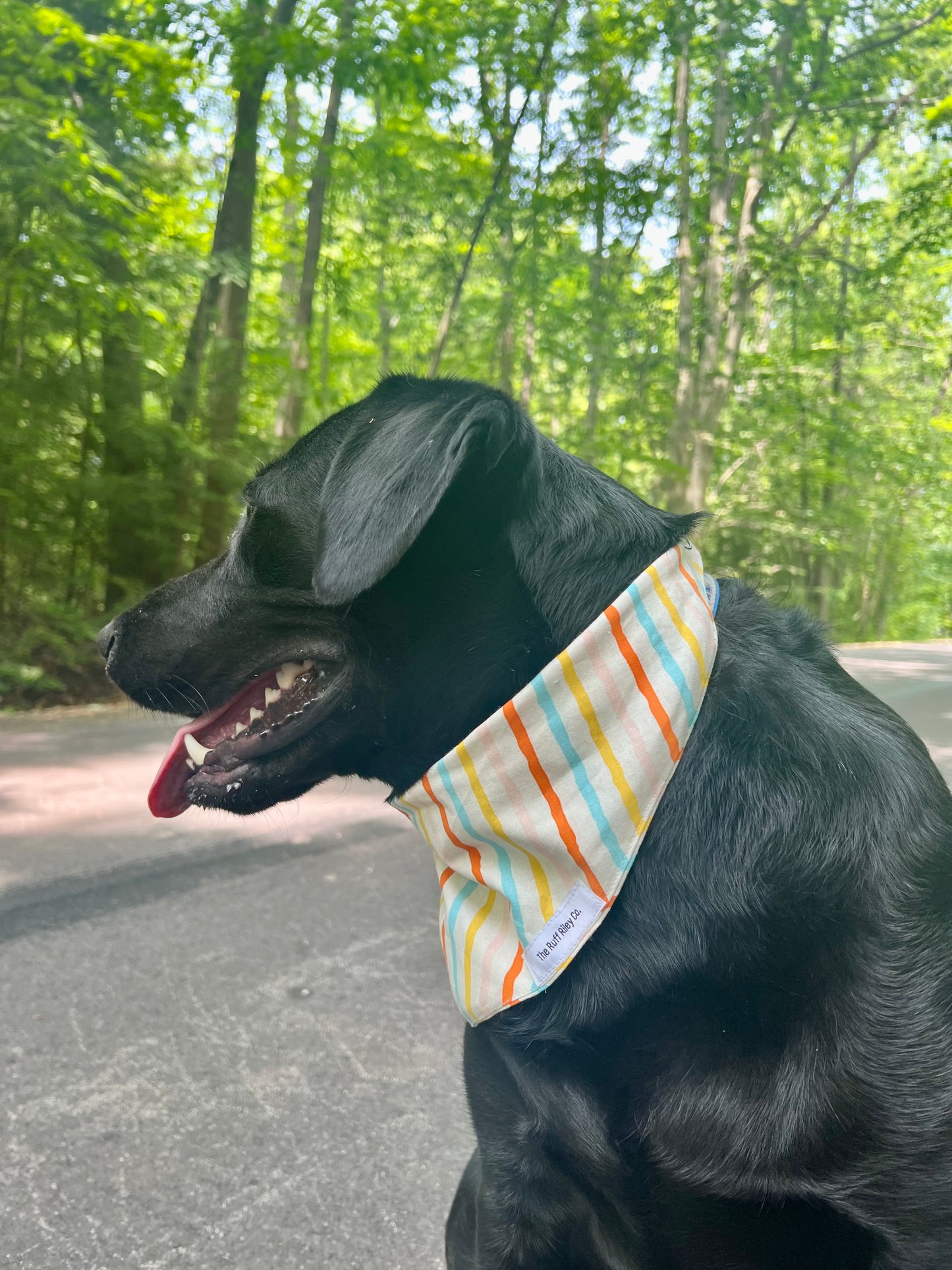 Summer Stripes Bandana