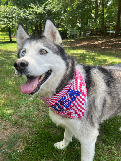 USA bandana