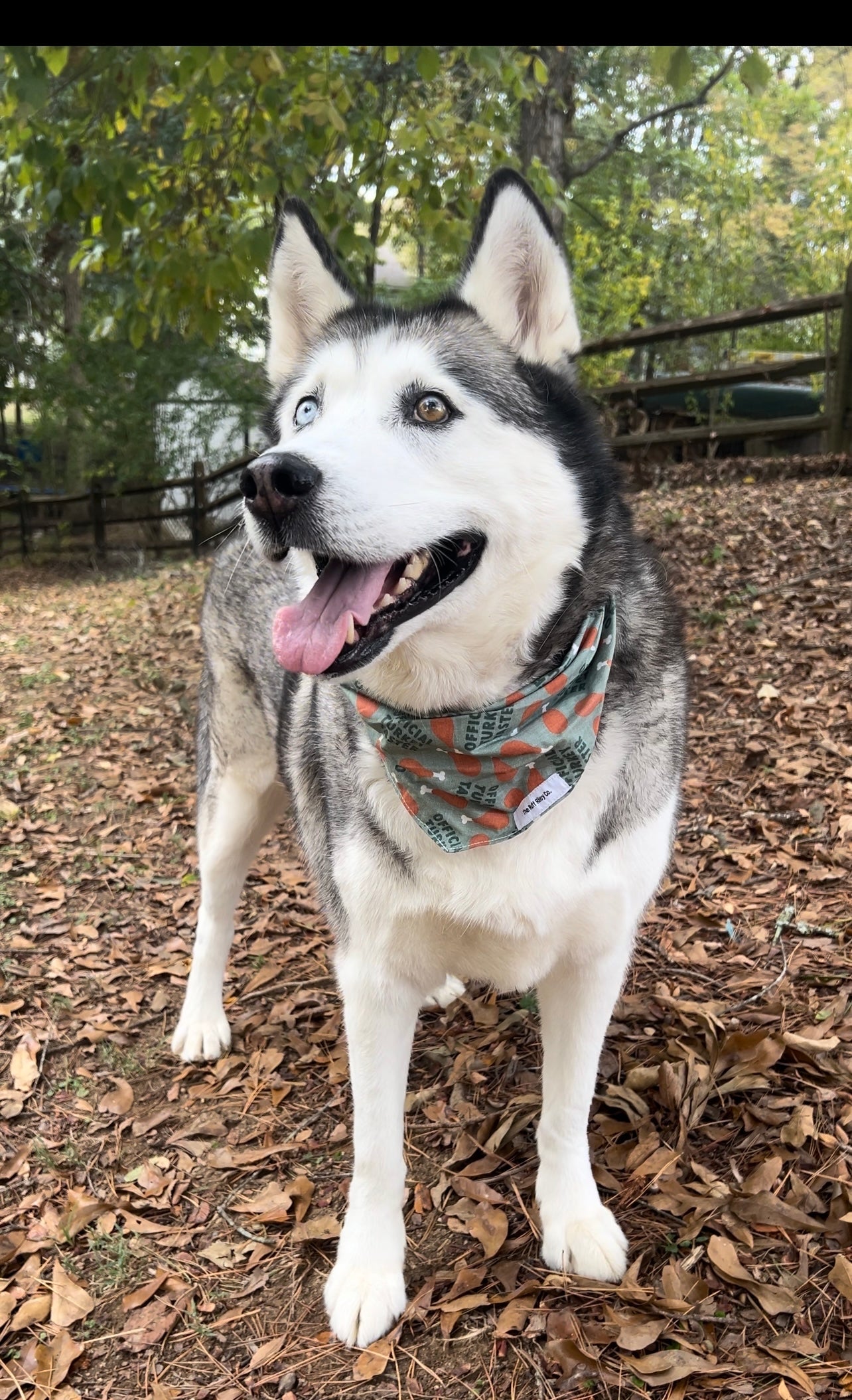 Official Turkey Taster Bandana