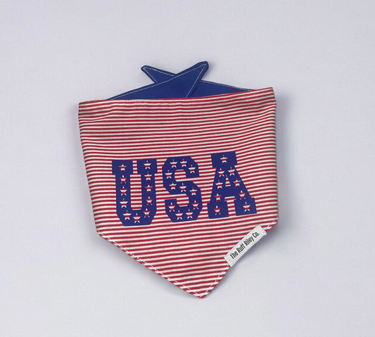 USA bandana