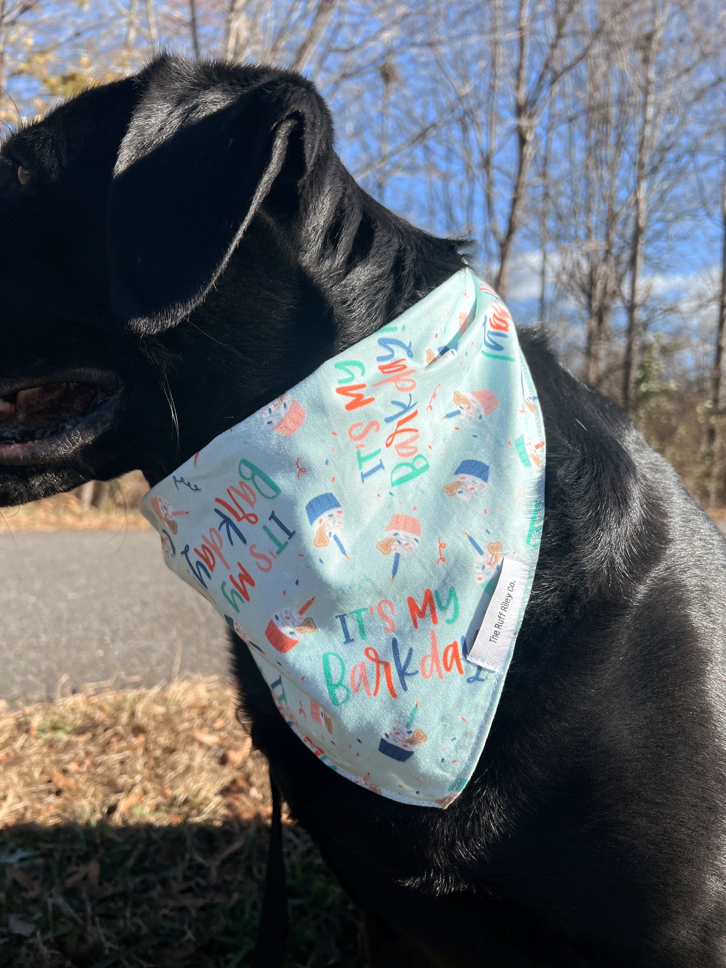 Barkday Party Bandana