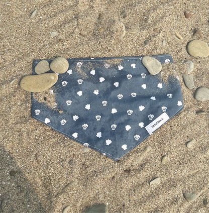 Seashells by the shore